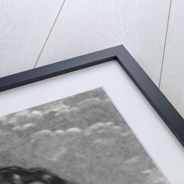 Portrait of the 8th Earl of Derby by English School