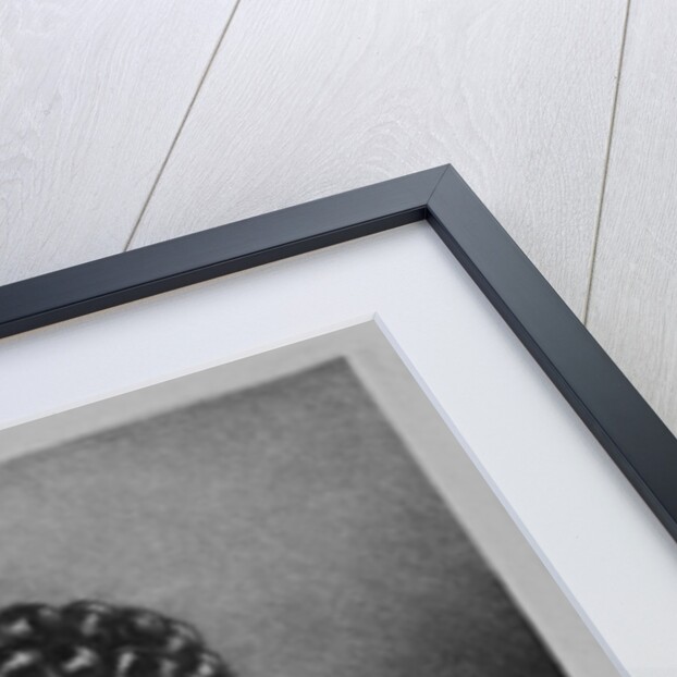 Portrait of Henry Duke of Grafton by English School