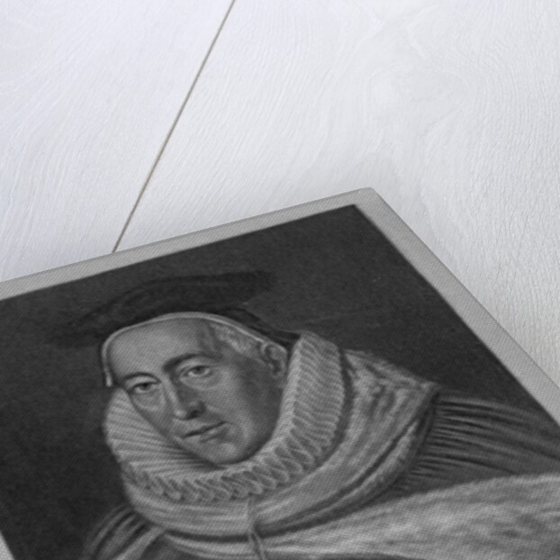 Portrait of Sir Christopher Yelverton by English School