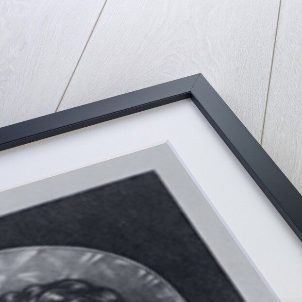 Countess of Kildare by English School