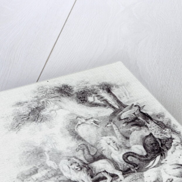 Wild Animals from 'A History of the Earth and Animated Nature' by Oliver Goldsmith, London, 1840 by English School