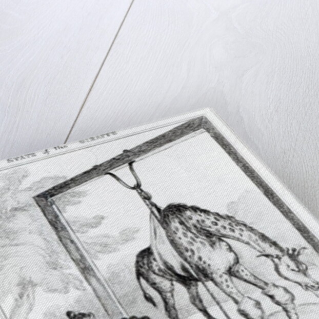 State of the Giraffe, 1829 by William Heath