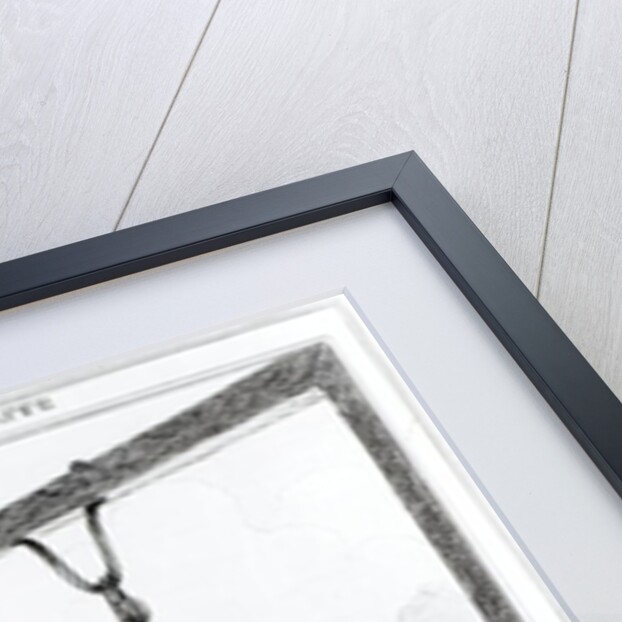 State of the Giraffe, 1829 by William Heath