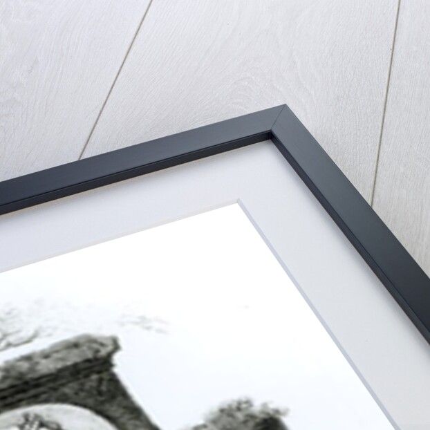 Portraits of Roman Emperors from 'The History of Decline and Fall of the Roman Empire' by Edward Gibbon, Vol 2, 1808 by Henry R. Cook