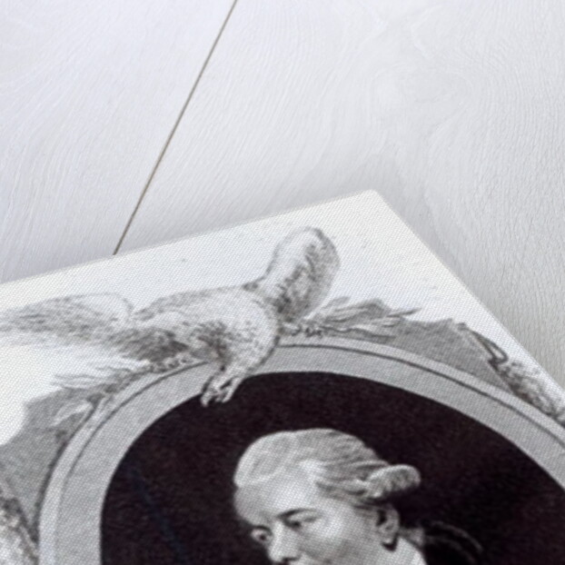 Portrait of Edward Gibbon by Henry R. Cook