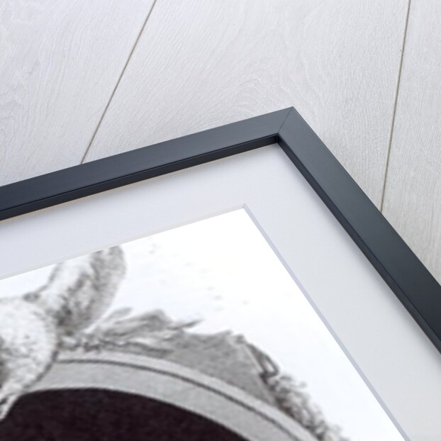 Portrait of Edward Gibbon by Henry R. Cook