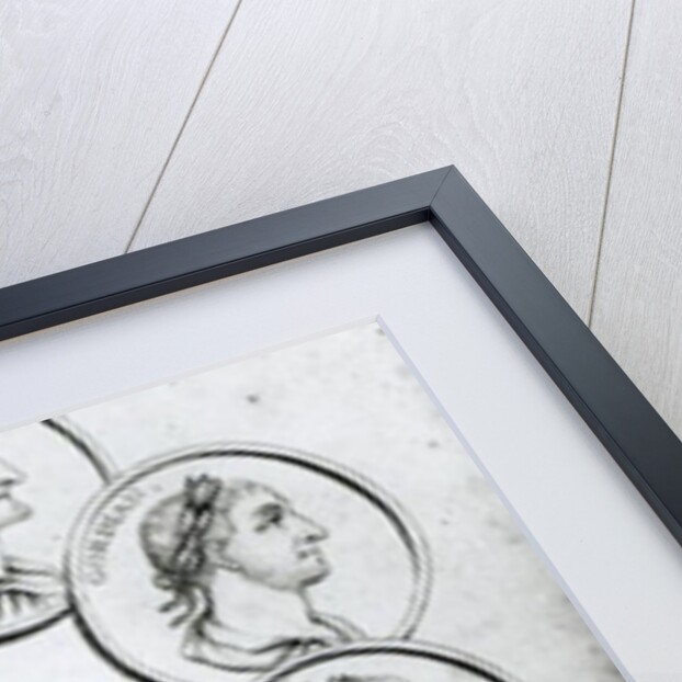 Portraits of Roman Emperors by Henry R. Cook