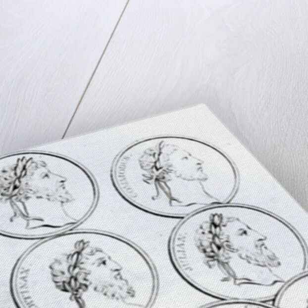 Portraits of Roman Emperors by Henry R. Cook