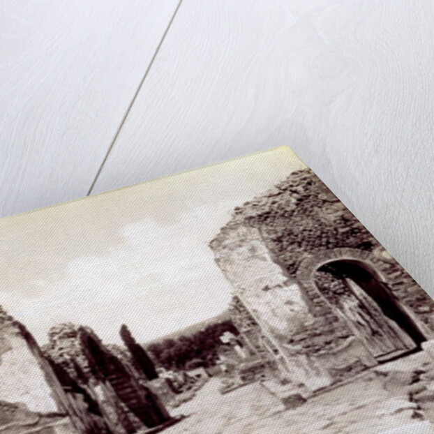 Portraits of Roman Emperors by Henry R. Cook