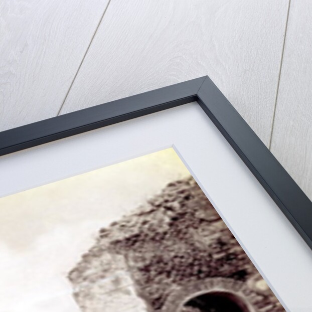 Portraits of Roman Emperors by Henry R. Cook