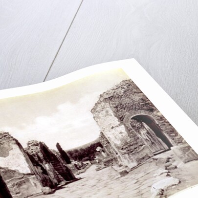 Portraits of Roman Emperors by Henry R. Cook