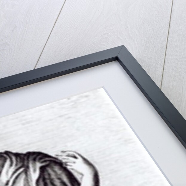 Agrippina, c.1653 by Francois Perrier