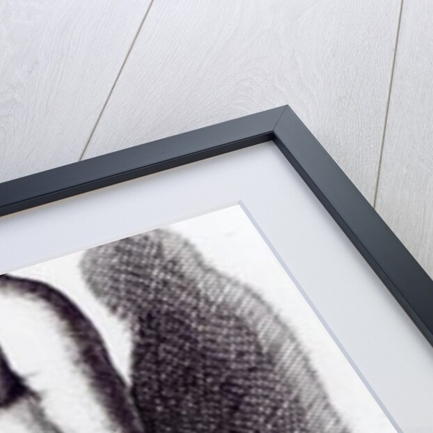 Venus Aphrodite, c.1653 by Francois Perrier