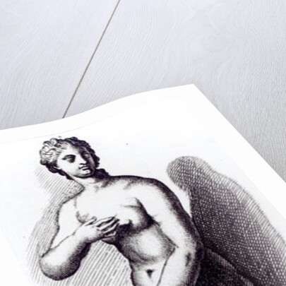 Venus Aphrodite, c.1653 by Francois Perrier