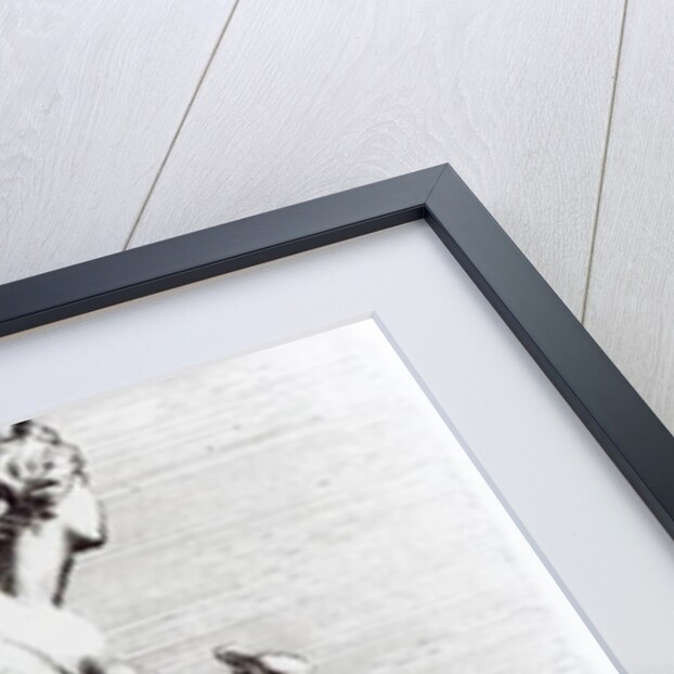 Venus Aphrodite, c.1653 by Francois Perrier