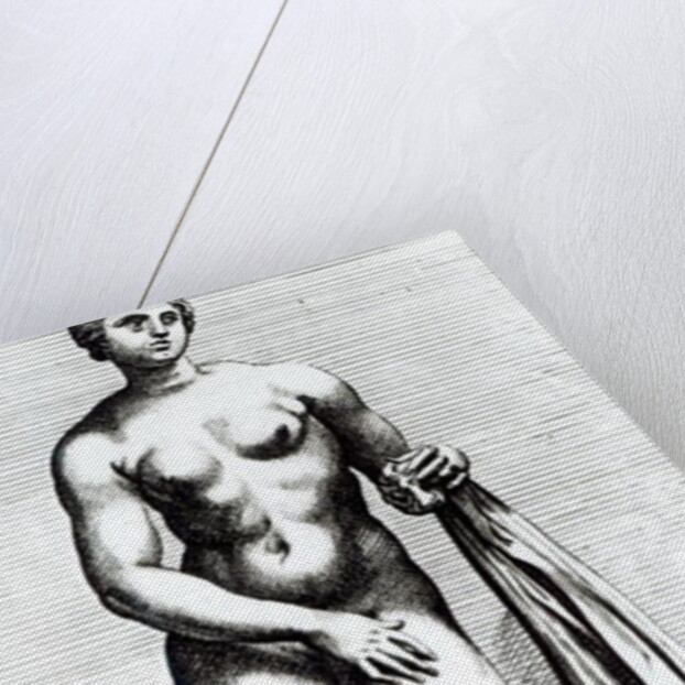 Venus emerging from the bath, c.1653 by Francois Perrier