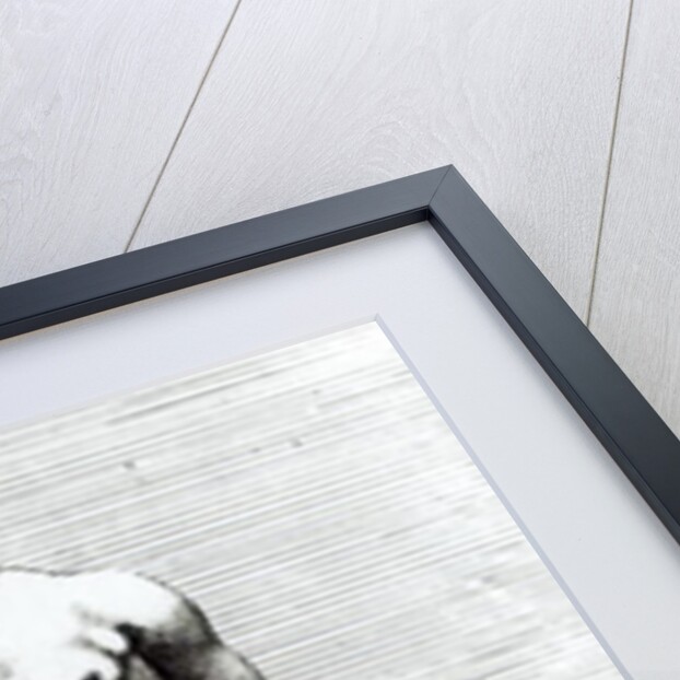 Venus emerging from the bath, c.1653 by Francois Perrier