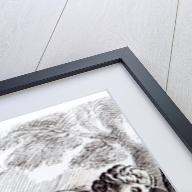 Hermaphrodite in the Borghese Gardens, c.1653 by Francois Perrier