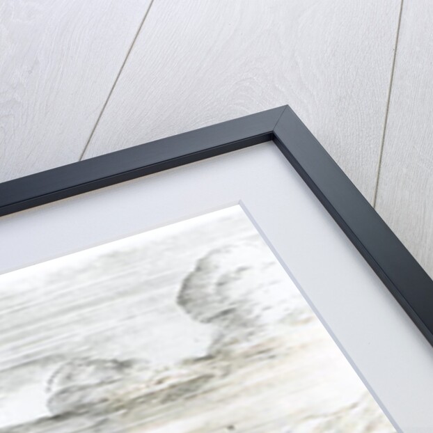 River Nile, c.1653 by Francois Perrier