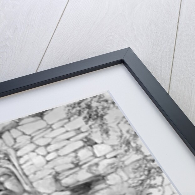 Head of Itzam Na, Izamal, Yucatan, Mexico, 1844 by Frederick Catherwood