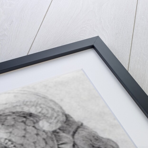 Ideal Head of a Woman, c.1525-28 by Michelangelo Buonarroti