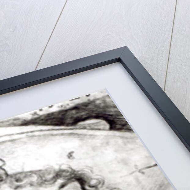 Portrait of an unknown man, 1521 by Albrecht Dürer or Duerer