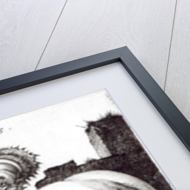 The Large Horse, 1509 by Albrecht Dürer or Duerer