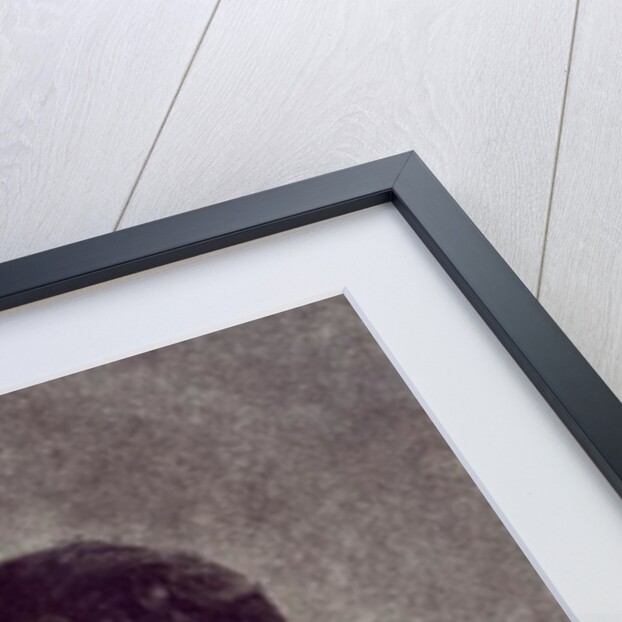 Portrait of Gustav Mahler, 1897 by Austrian Photographer