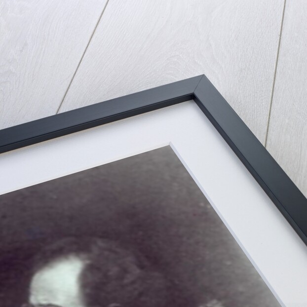 Portrait of Gustav Mahler, c.1907 by Photographer Austrian