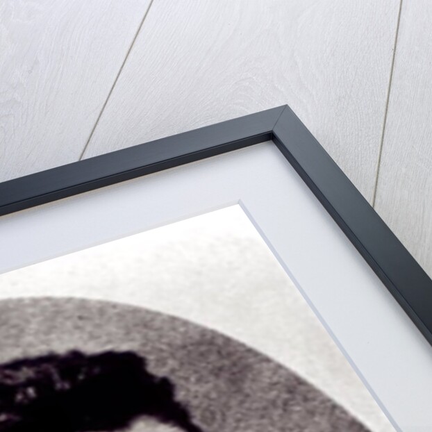 Portrait of Gustav Mahler, 1878 by Austrian Photographer