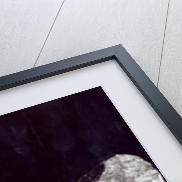 Mozart, 1911 by Auguste Rodin