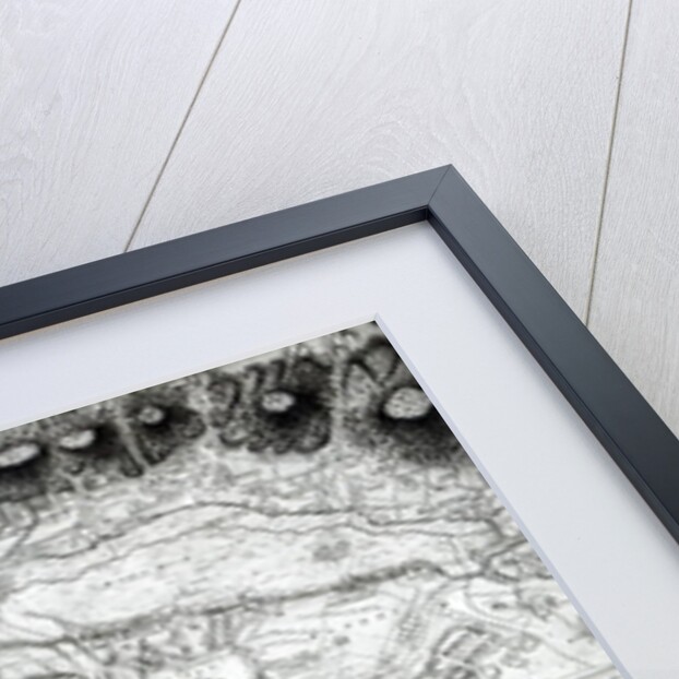 Plan of the Battle of Minden, drawn by Captain William Roy and engraved by Thomas Major, 1760 by English School