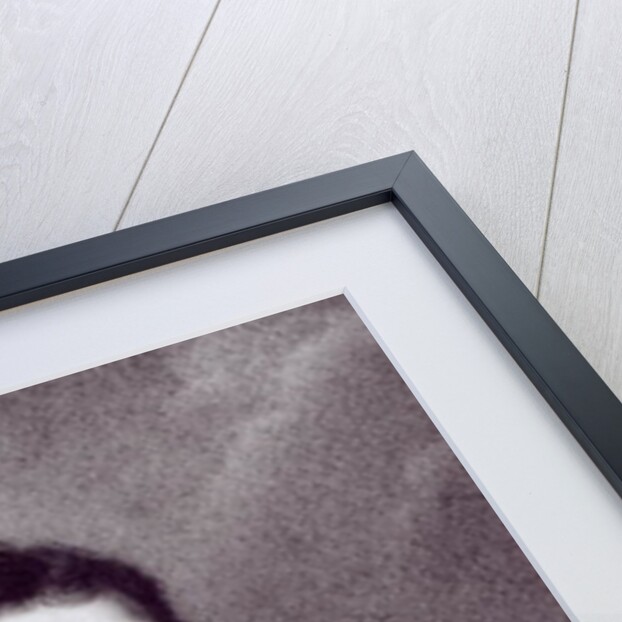 Portrait of Tadeusz Kosciuszko, engraved by William Holl, c.1840 by 19th Century Polish School