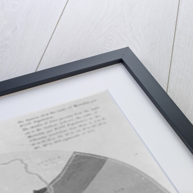 Map showing the Distribution of Deaths from Cholera in the Registration Districts of London, 1866 by English School