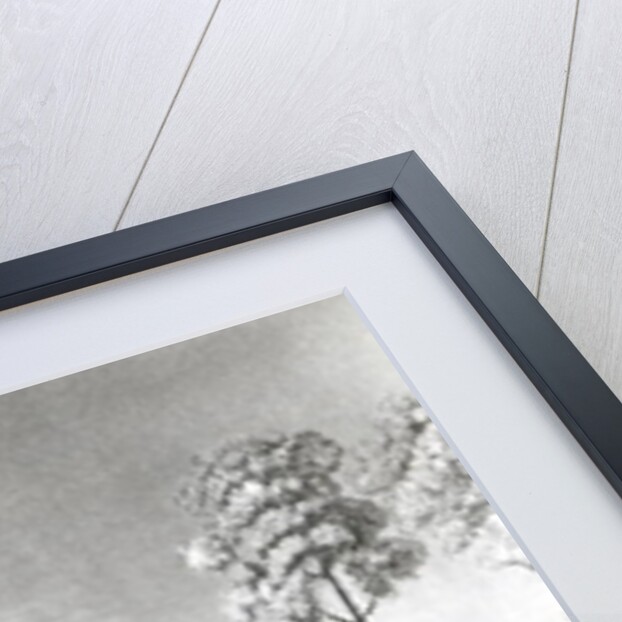 View of the statue of Peter the Great in Senate Square, St.Petersburg by French School