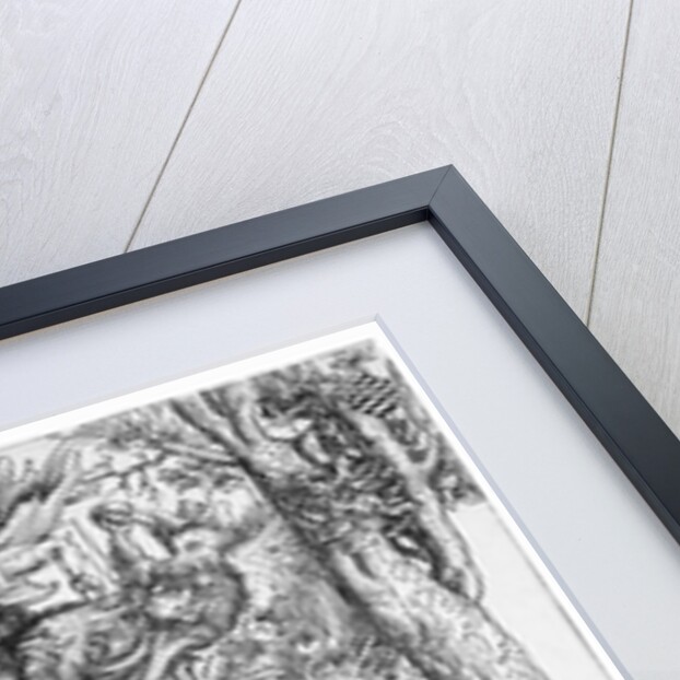 The Temptation of St.Anthony, 1506 by Lucas the Elder Cranach