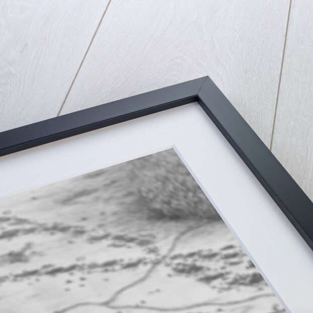 The Siege of Breda by School English