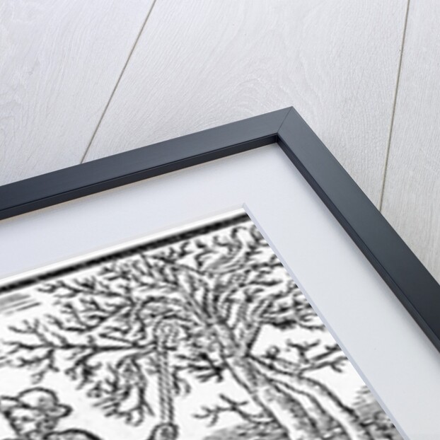 Month of November by School English