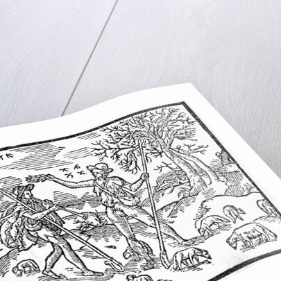 Month of November by School English