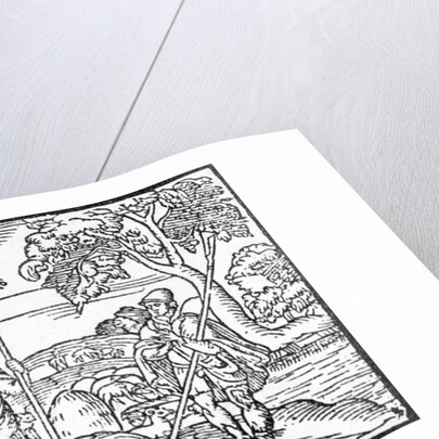 Month of June by School English