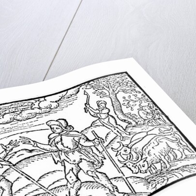 Month of February by School English