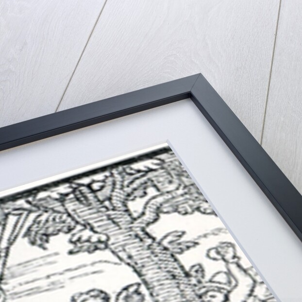 Month of March by School English