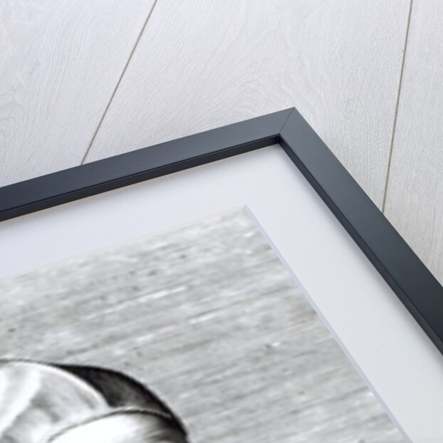 Portrait of Pope Pius IV, 1559 by Italian School