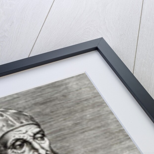 Portrait of Pope Pius IV, 1555 by Italian School