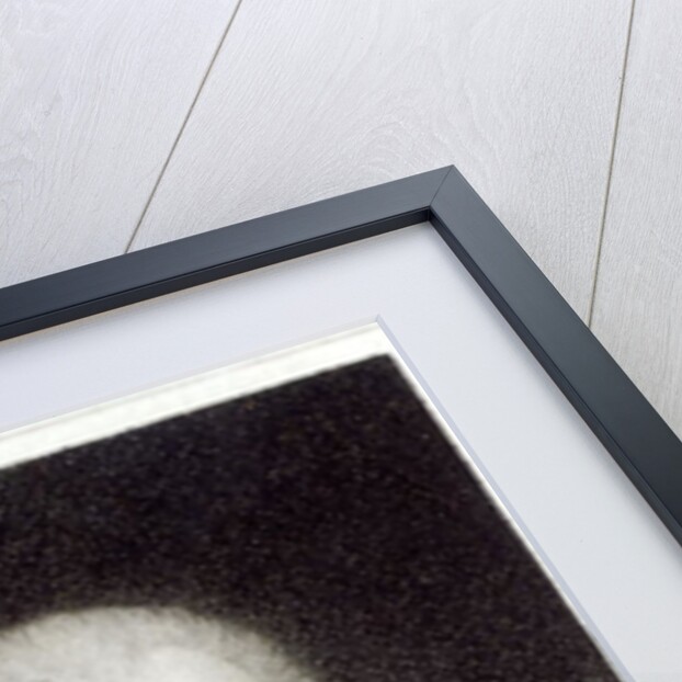 Portrait of William Hayley by W. Haines