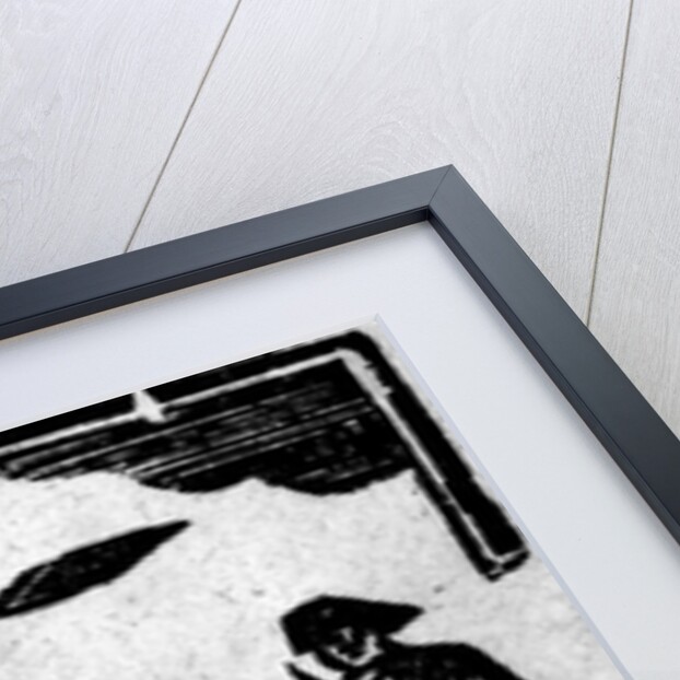 Three Fiddlers by School English