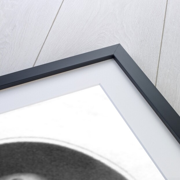 Portrait of Michel de Montaigne by James the Elder Hopwood