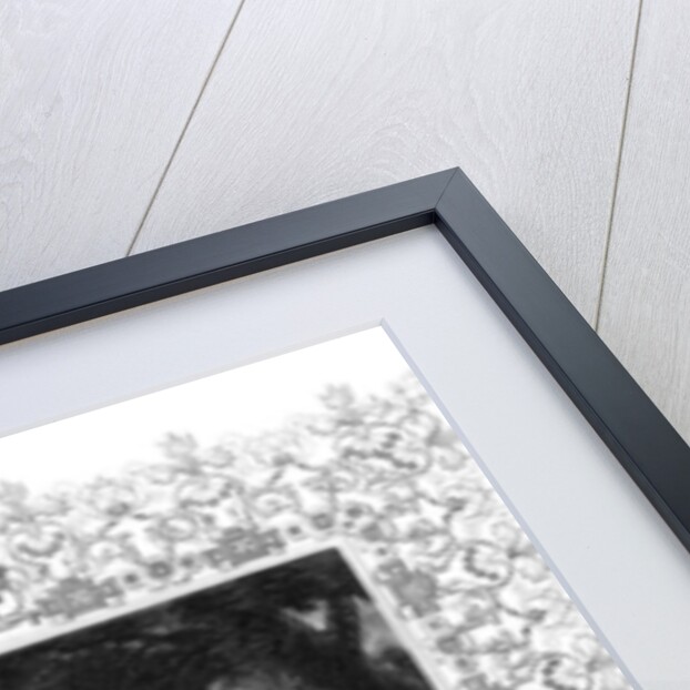 Portrait of John Manners, Marquis of Granby by School English