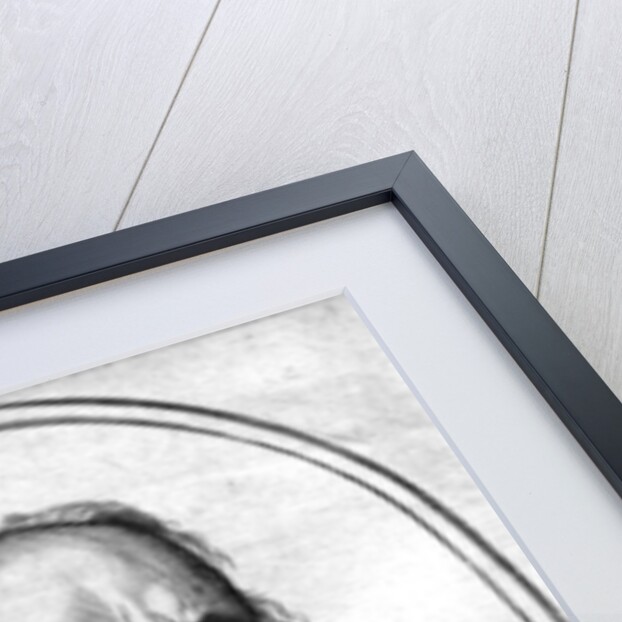 Portrait of Cardinal Guido Bentivoglio by School Italian