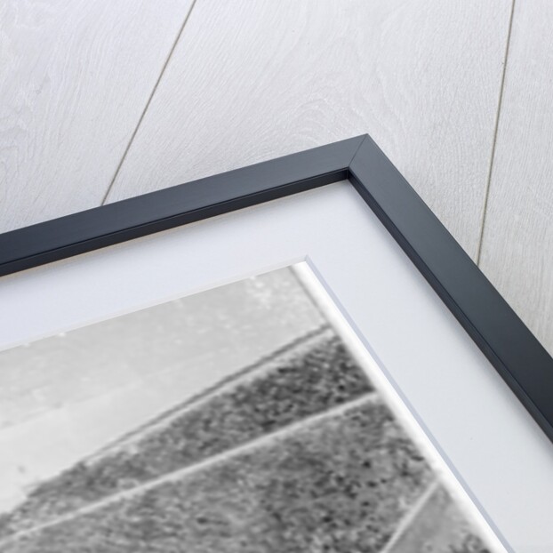 Revival of the Olympic Games in Athens: Loues winning the race from Marathon, 10th April 1896 by English School